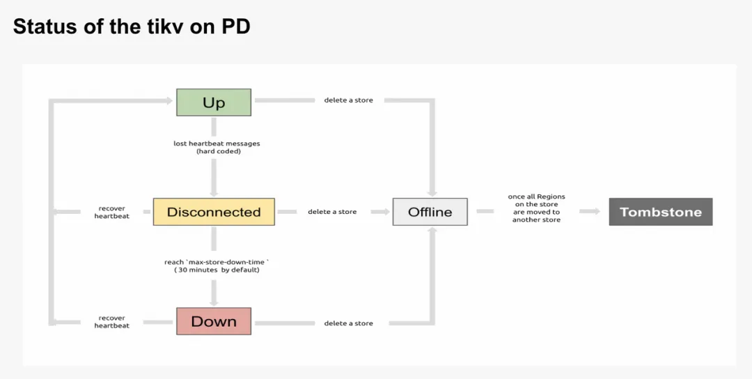 status of the tikv on pd